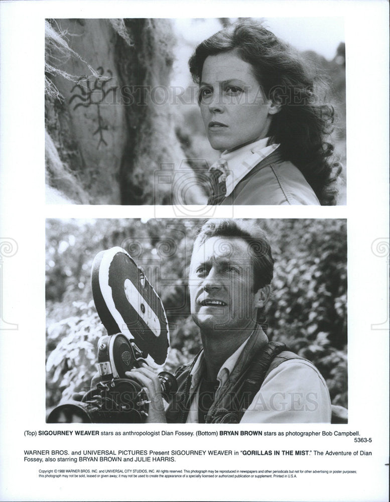 1988 Press Photo  Sigourney Weaver & Bryan Brown in "Gorillas in the Mist" - Historic Images
