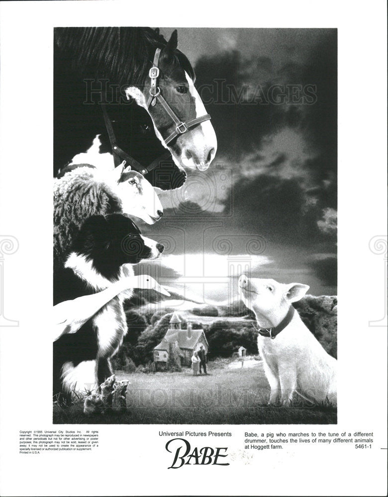 1995 Press Photo Scene from movie&quot;Babe&quot; - Historic Images