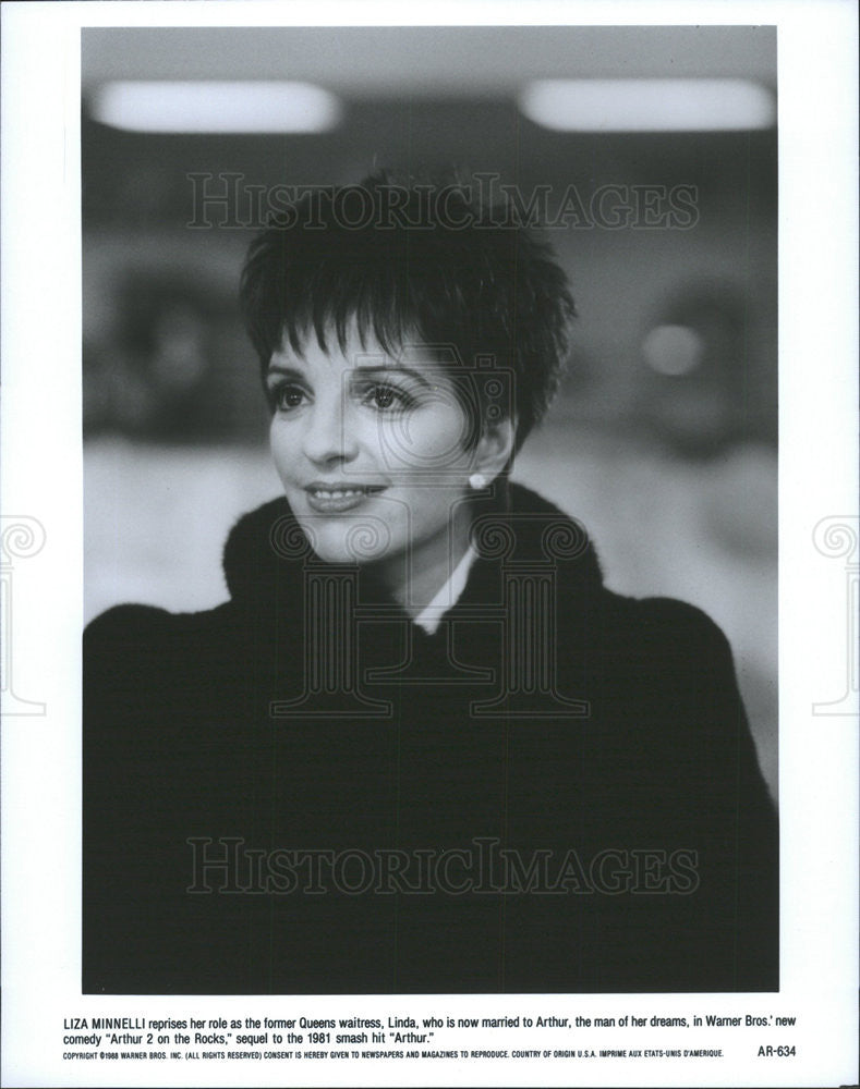 1988 Press Photo Liza Minelli in &quot;Arthur 1 on the Rocks&quot; - Historic Images