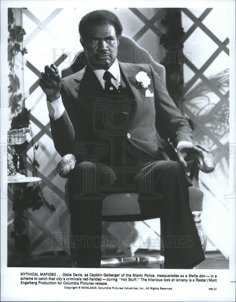 1979 Press Photo Ossie Davis as Captain Gelberger in the movie Hot Stuff - Historic Images