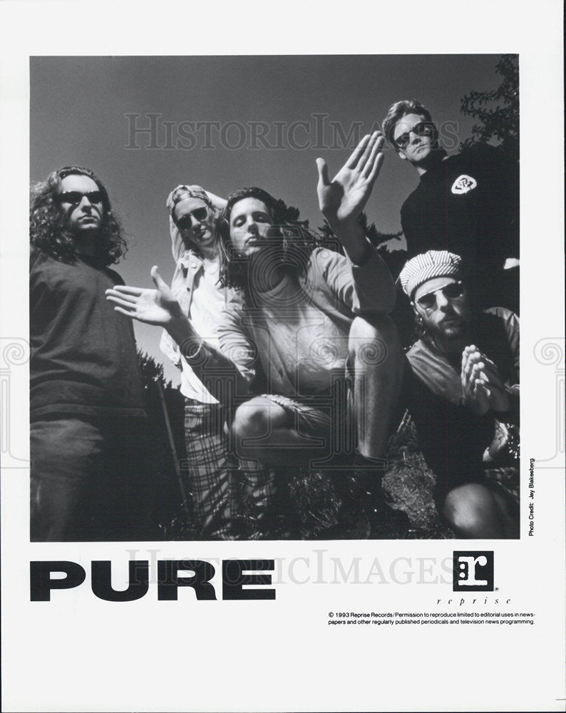 1993 Press Photo Pure Musical Group - Historic Images