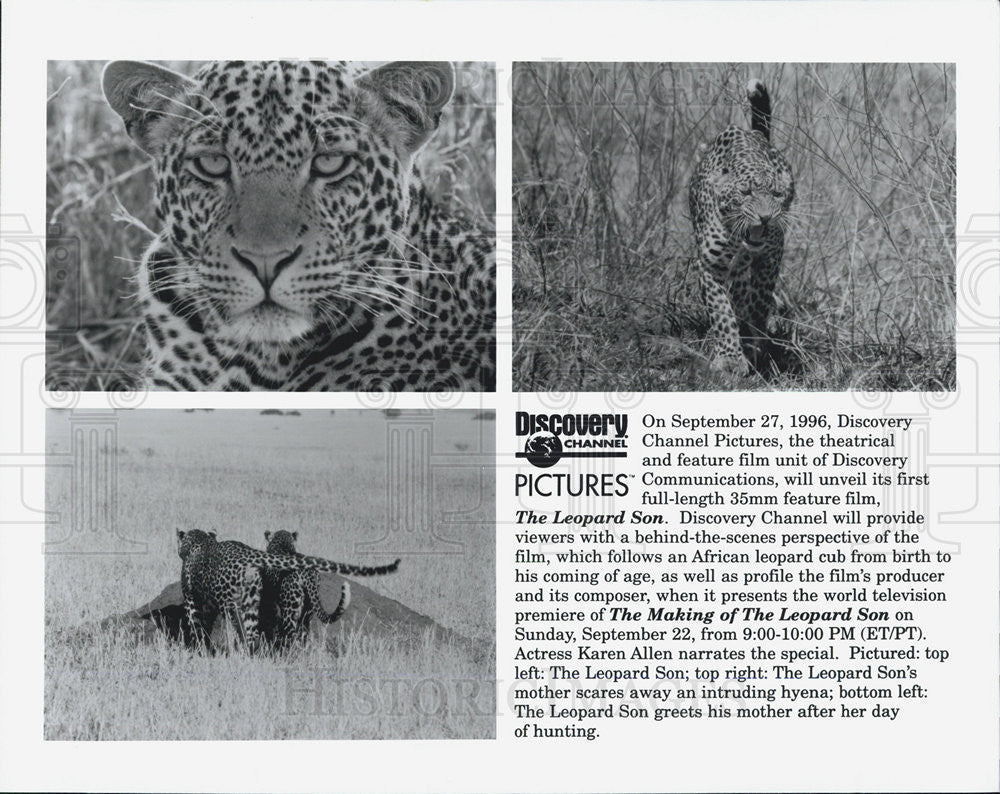 Press Photo &quot;The Leopard Son&quot; on the Discovery Channel - Historic Images