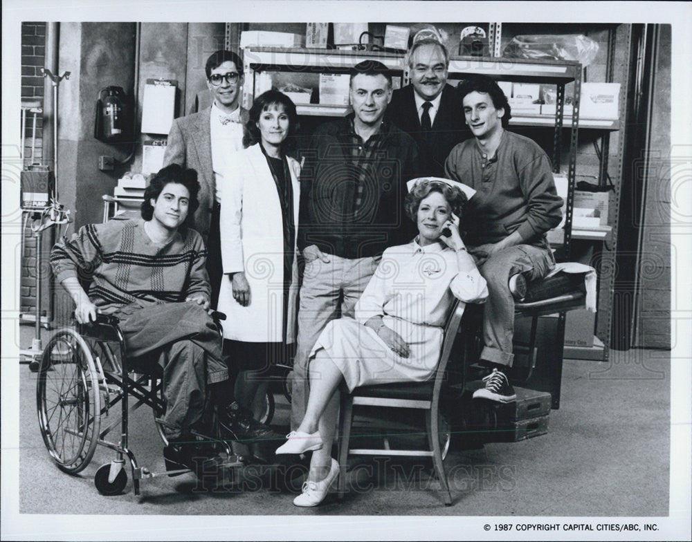 1987 Press Photo Cast of ABC TV Series Harry - Historic Images