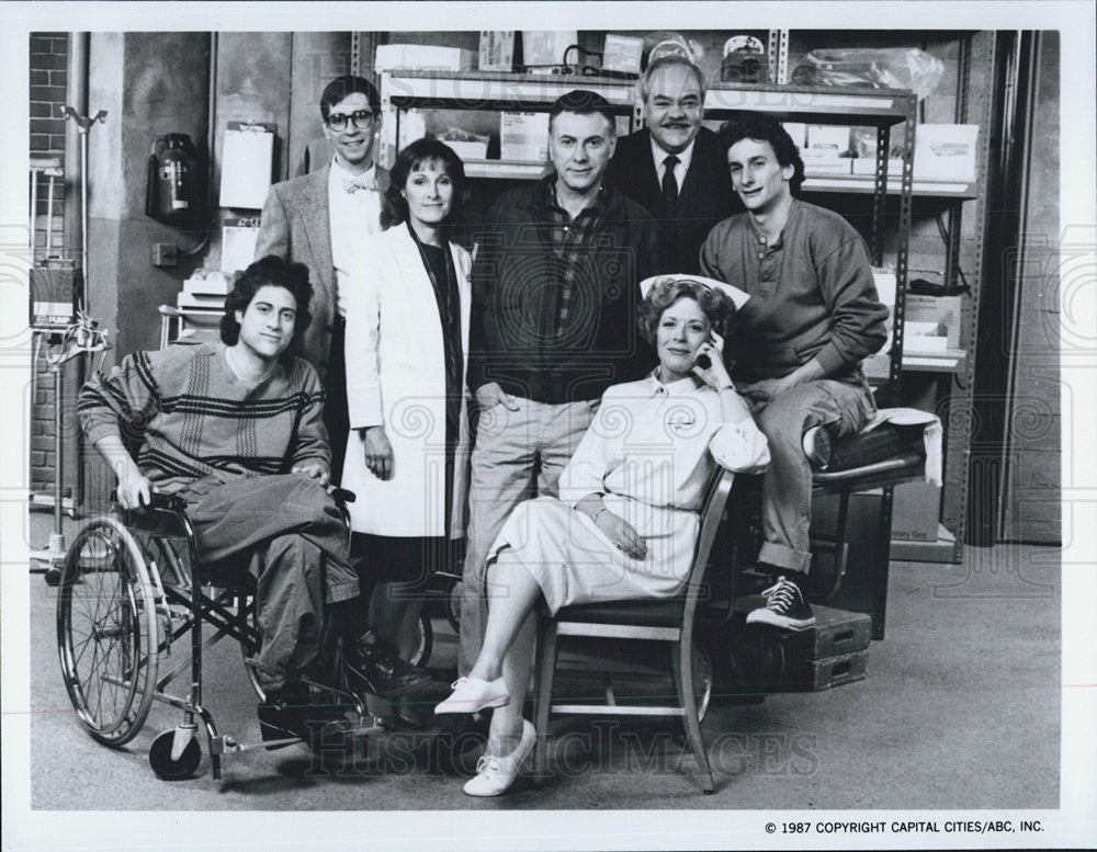 1987 Press Photo Cast of ABC TV Series Harry - Historic Images