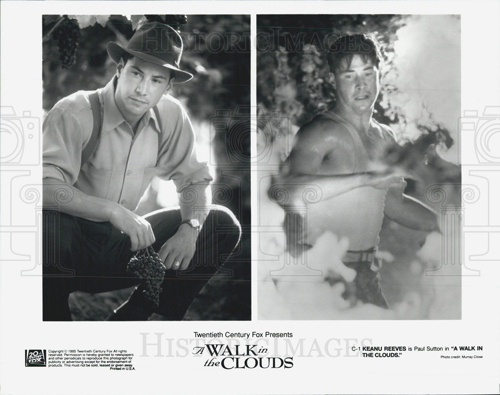 1995 Press Photo Keanu Reeves as Paul Sutton in A Walk In The Clouds` - Historic Images