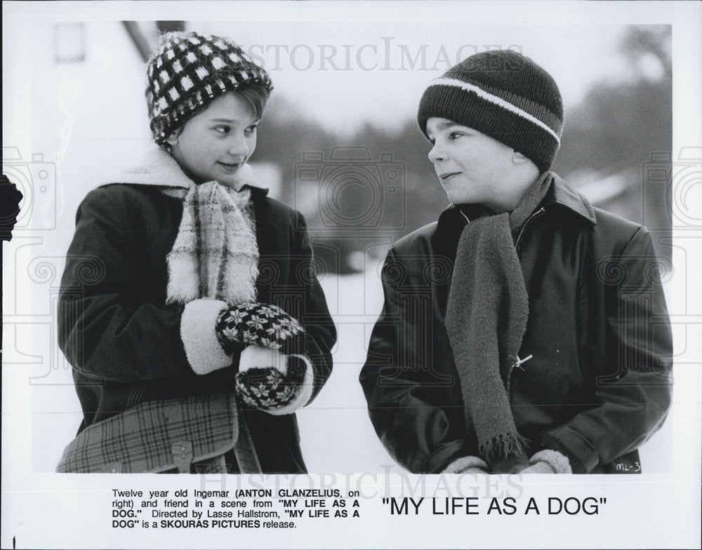 Press Photo 12 year old Anton Glanzelius In the movie My Life As A Dog - Historic Images