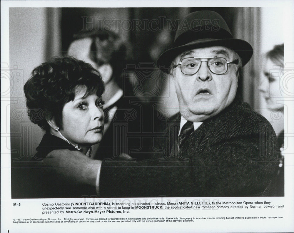 1987 Press Photo Vincent Gardenia, Anita Gillette, Moonstruck - Historic Images