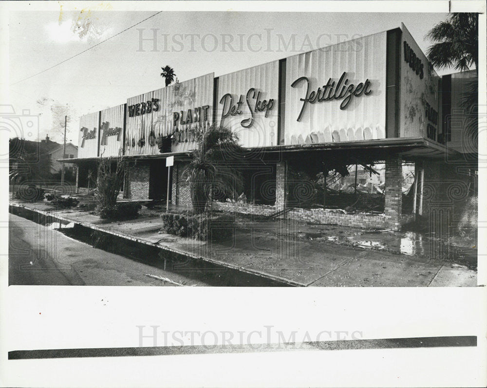 1981 Press Photo Webb&#39;s City Nursery Exterior After Fire St Petersburg - Historic Images