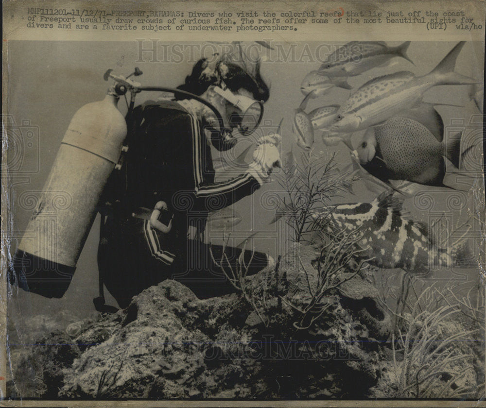 1974 Press Photo Diver Draws Attention Fish - Historic Images