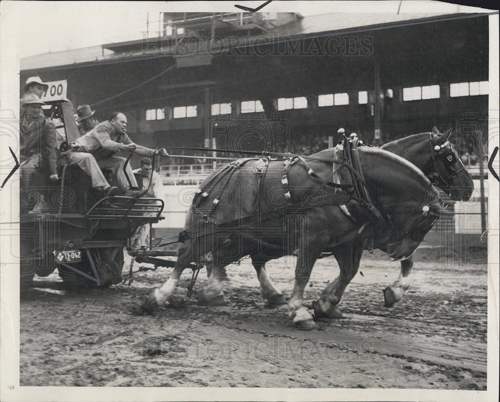 1949 Press Photo of Heavyweight horse pulling contest at Michigan State Fair - Historic Images