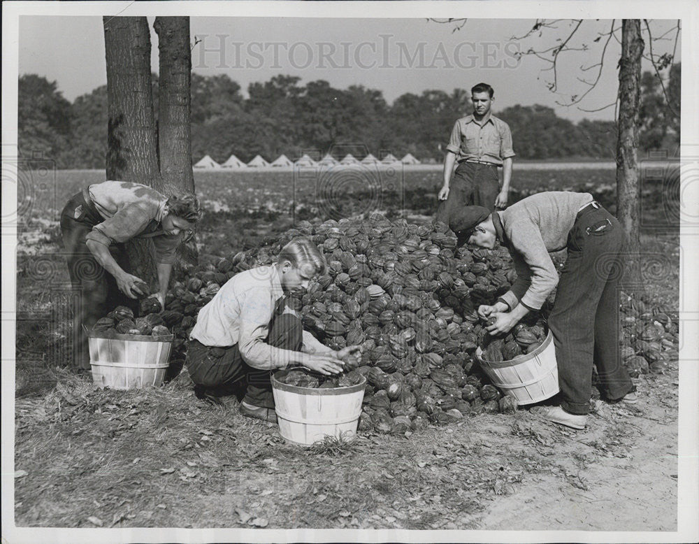 1938 Press Photo Camp Legion boys working on pile of bushels of pepper squash - Historic Images