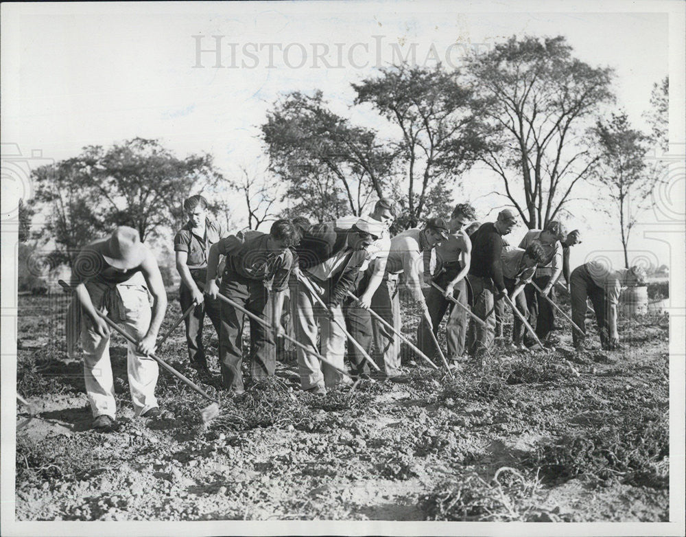 1938 Press Photo Farmers at harvest time in Michigan - Historic Images