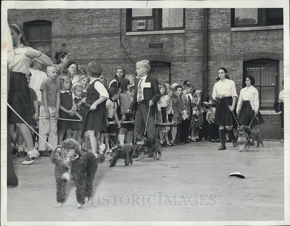 1963 Press Photo Dog show at Latin school in Chicago - Historic Images