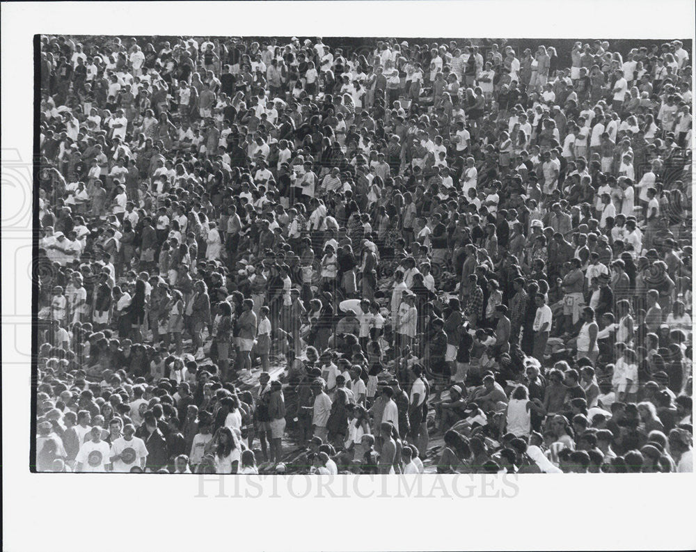 1991 Press Photo Crowd at Music Festivals in Pine Knob - Historic Images