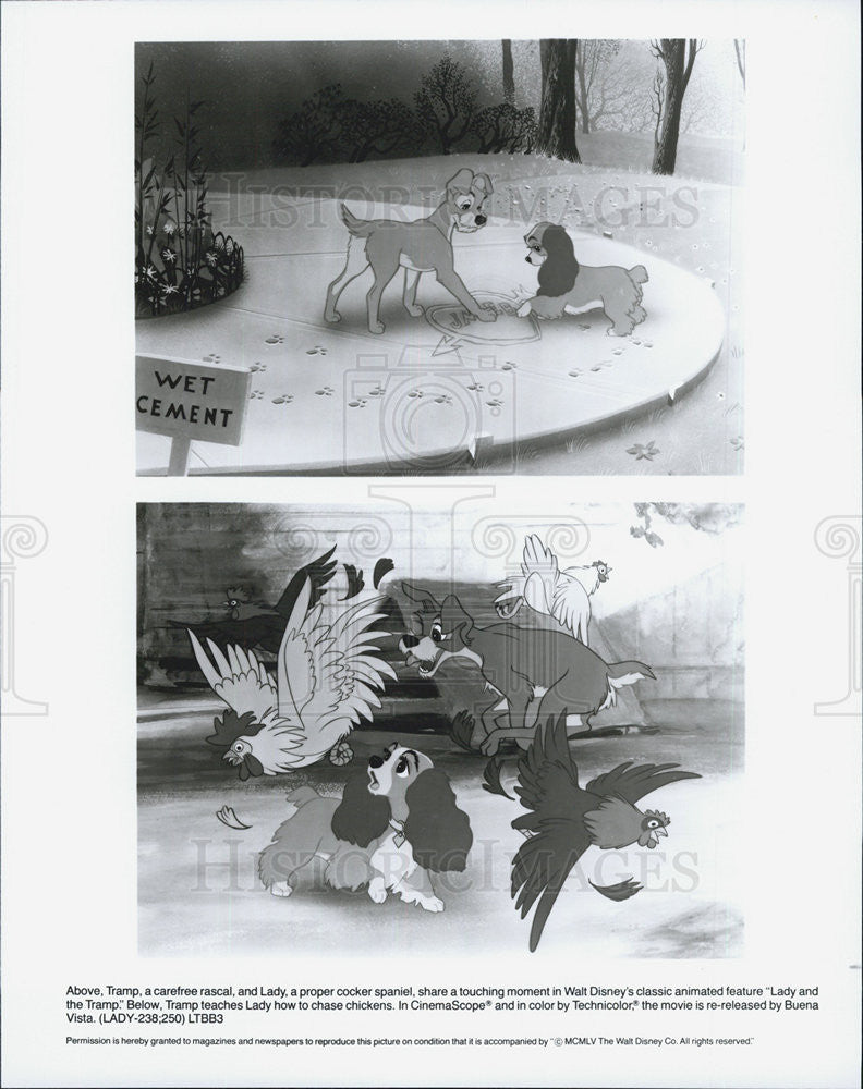 1955 Press Photo Lady Tramp Walt Disney Children's Cartoon Animated Movie Film - Historic Images