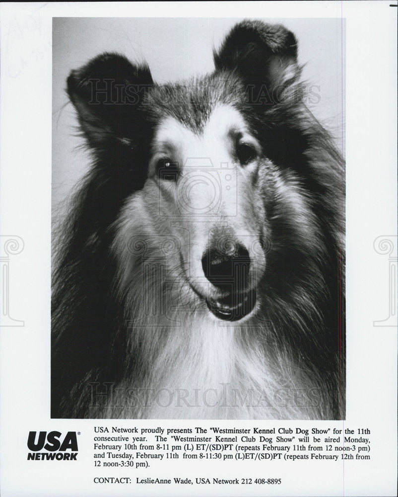 Press Photo USA Network Presents Westminister Kennel Club Dog Show - Historic Images