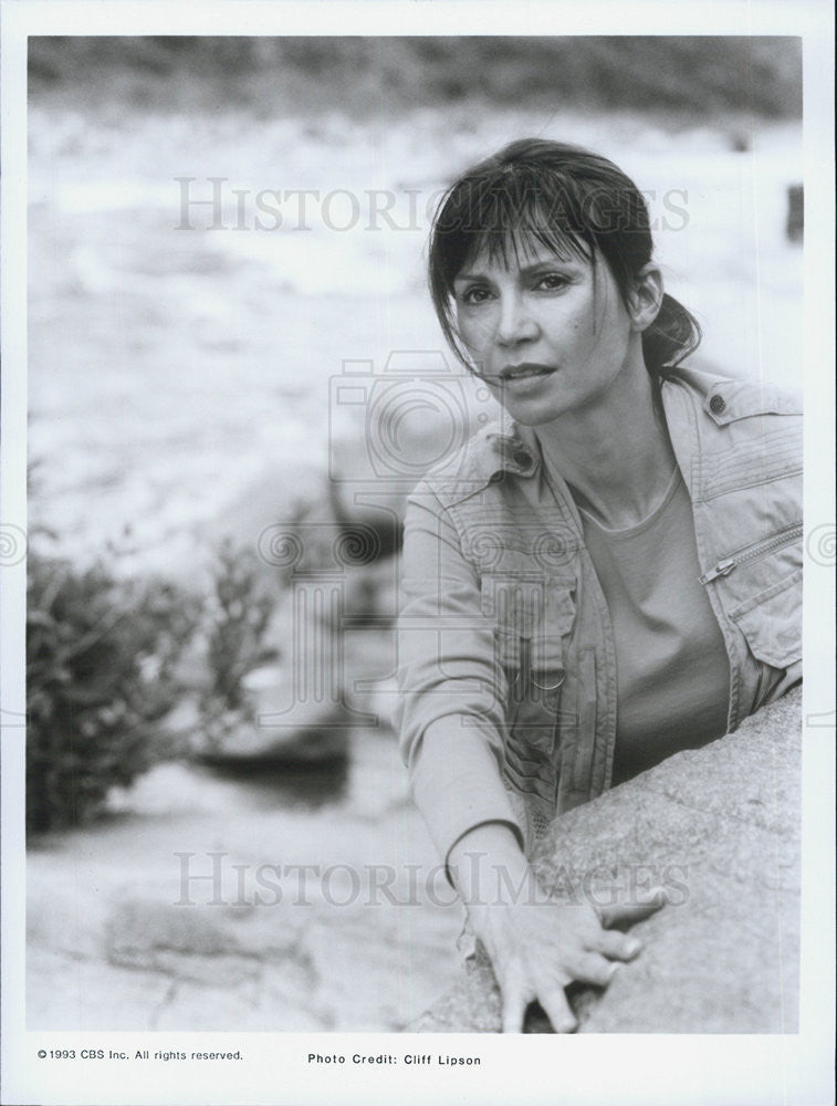 1993 Press Photo Victoria Principal, River of Rage - Historic Images