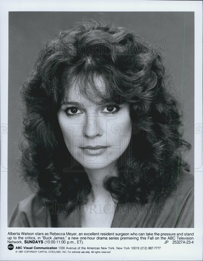 1987 Press Photo Actress Alberta Watson Stars In ABC Television Show Buck James - Historic Images