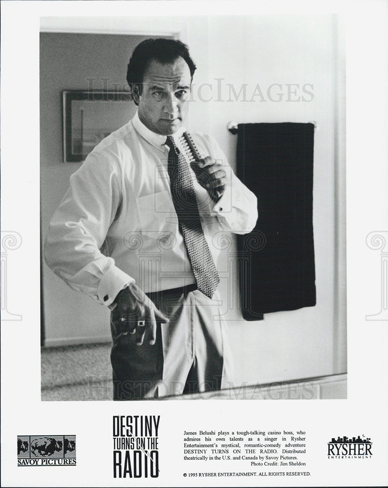 1995 Press Photo Actor James Belushi in the Movie  Destiny Turns on the Radio - Historic Images