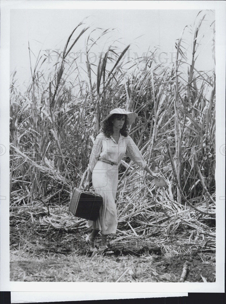 Press Photo Rachel Ward Actress The Thorn Birds - Historic Images