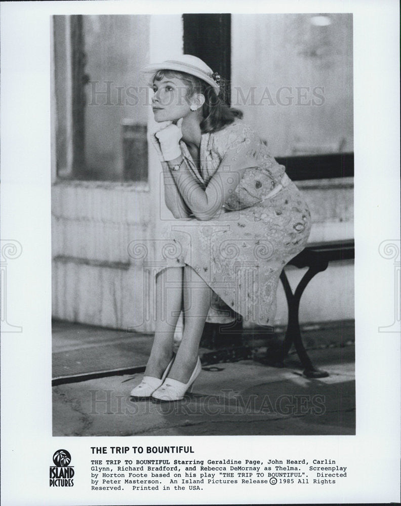 1985 Press Photo Actress Rebecca DeMornay Stars In Movie The Trip To Bountiful - Historic Images