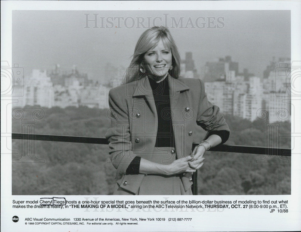 1988 Press Photo Cheryl Tiegs/Model/Actress - Historic Images