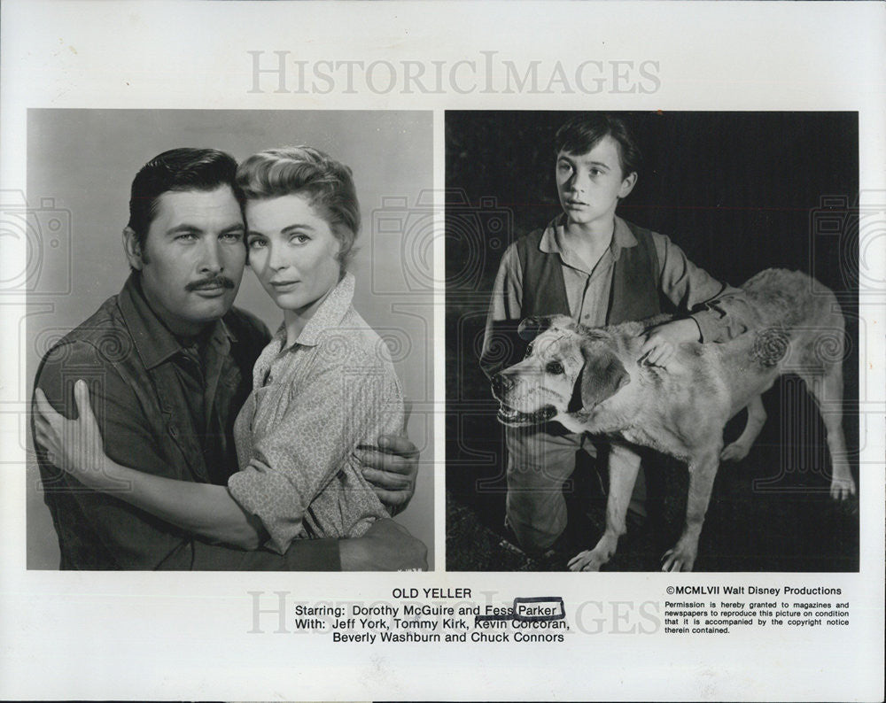 1958 Press Photo  Dorothy McGuire, Fess Parker, Jeff York in &quot;Old Yeller&quot; - Historic Images