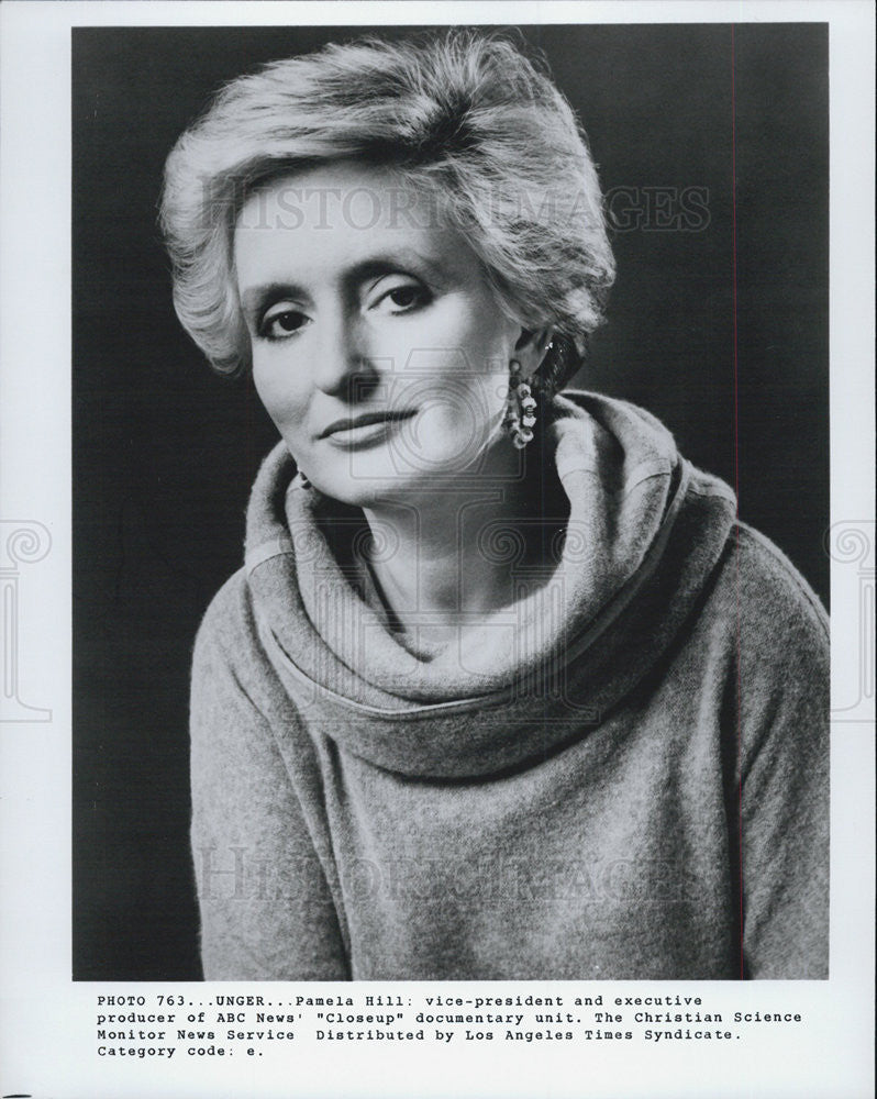 Press Photo ABC News Executive Pamela Hill Portrait - Historic Images