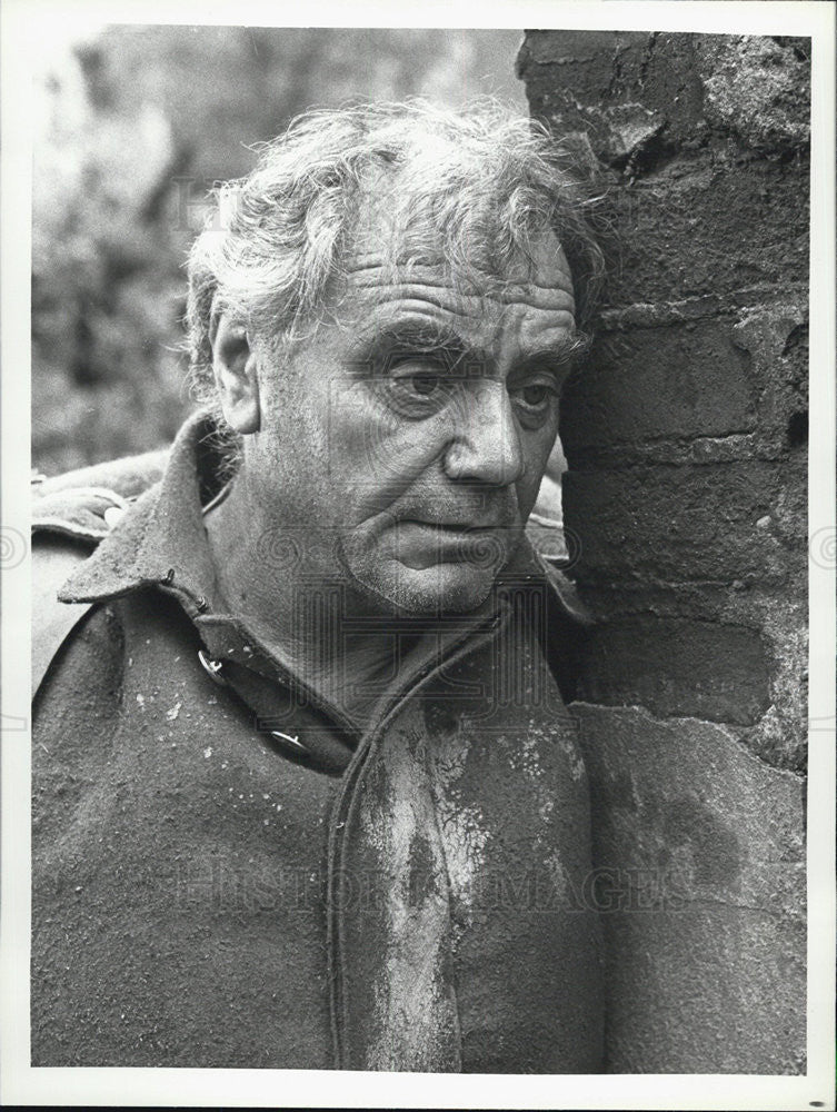 1979 Press Photo Actor Ernest Borgnine - Historic Images