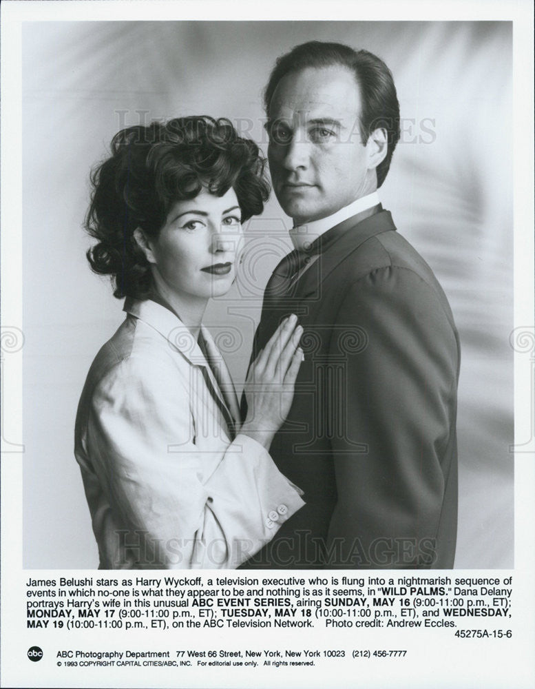 1993 Press Photo James Belushi And Dana Delany In ABC TV Mini Series Wild Palms - Historic Images