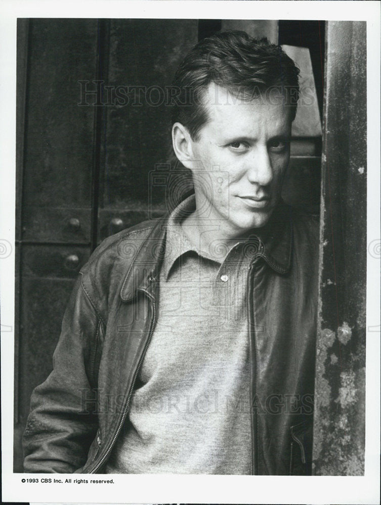 1993 Press Photo James woods Actor Janes house - Historic Images