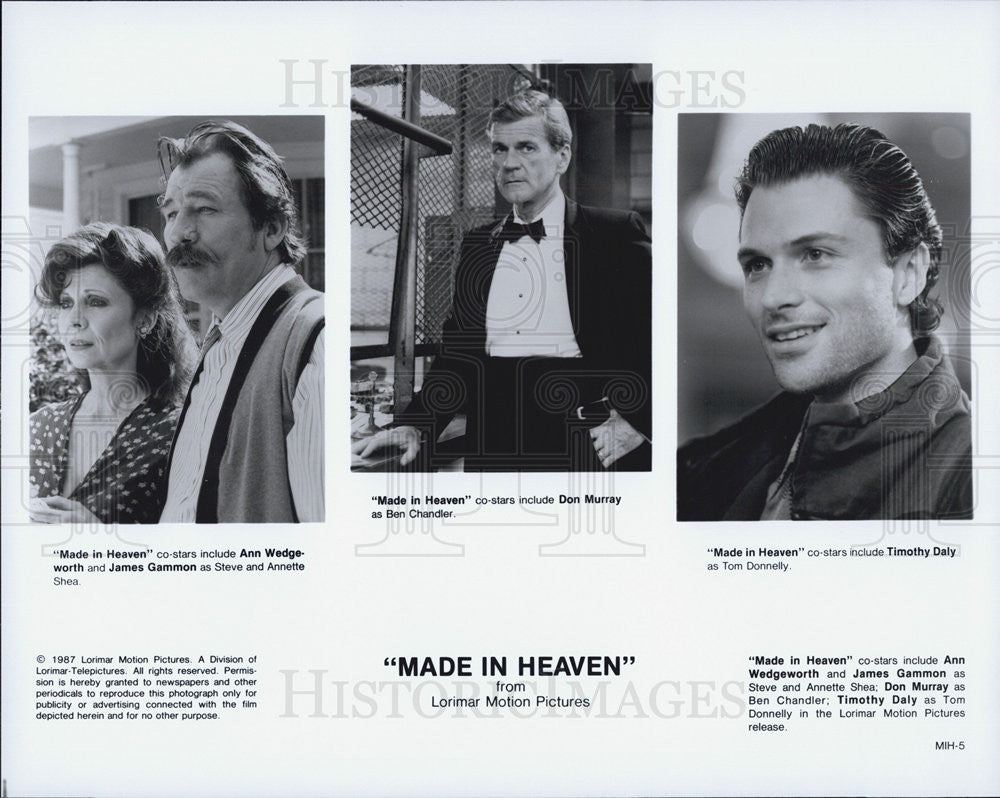 1987 Press Photo Ann Wedgeworth/James Gammon/Don Murray/Timothy Daly/Actor - Historic Images