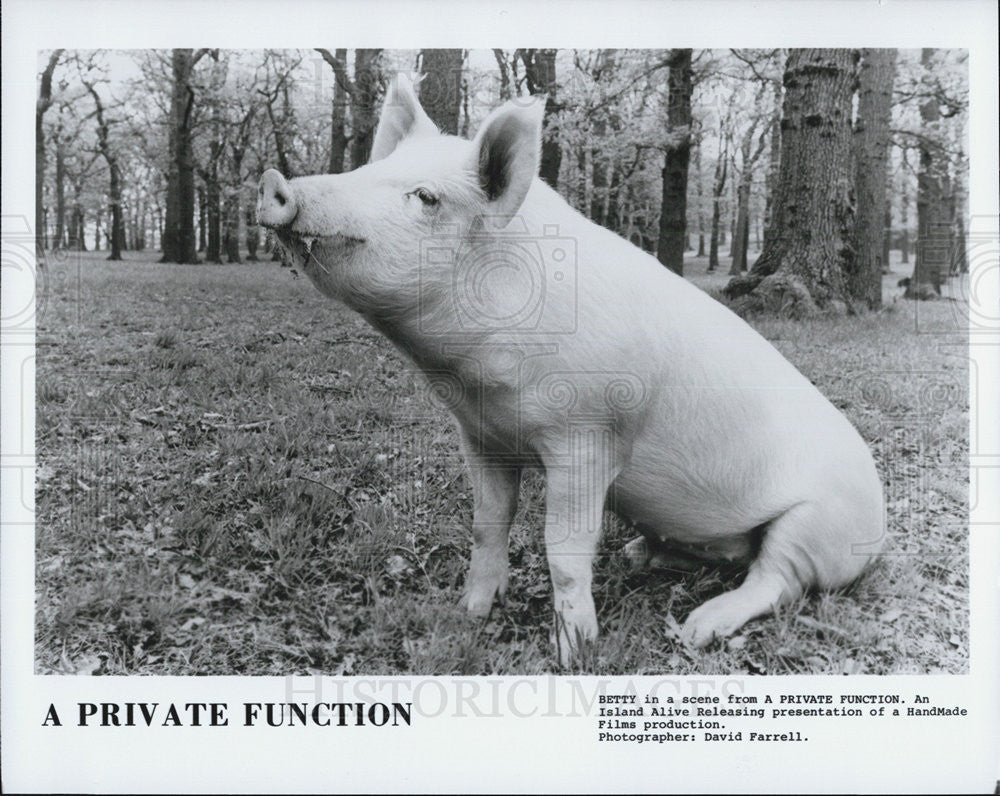 Press Photo &quot;Betty&quot; In Scene From &quot;A Private Function&quot; - Historic Images