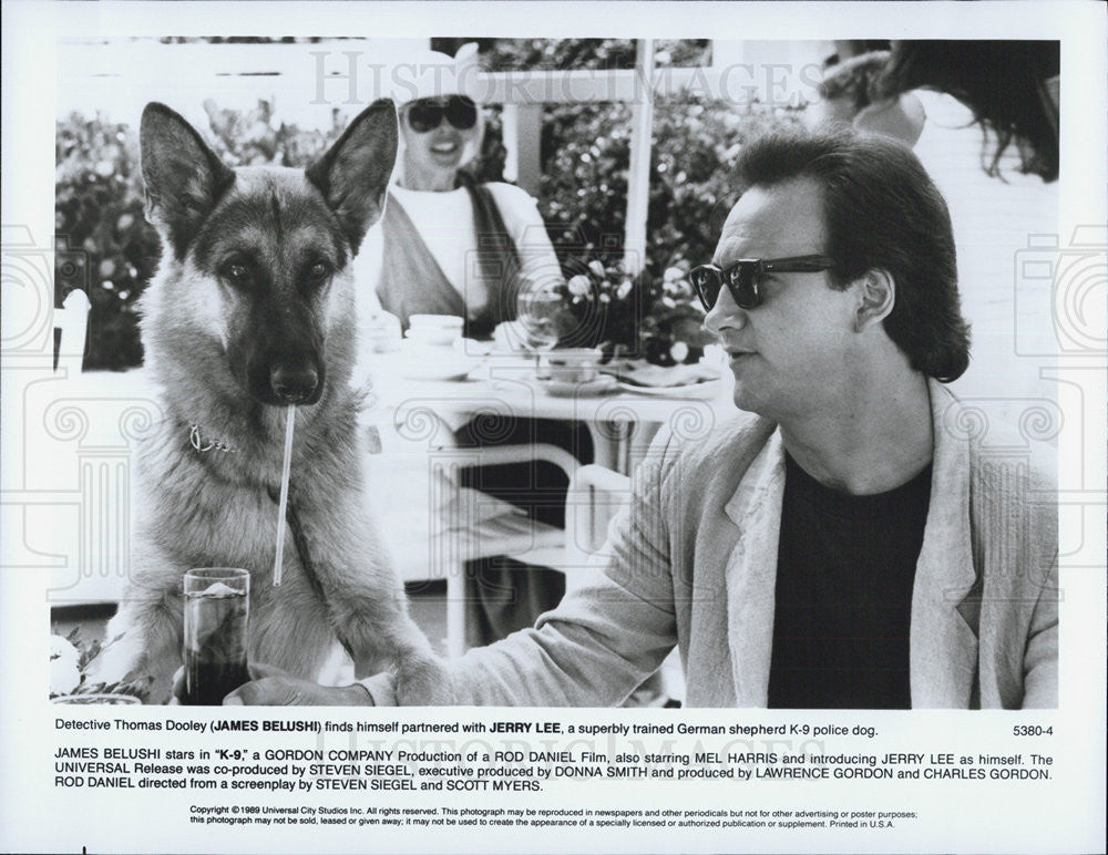 Press Photo James Belushi in K-9 - Historic Images