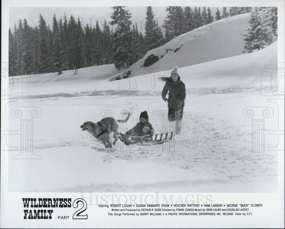 Press Photo The Wilderness Family Part 2 Pacific International - Historic Images