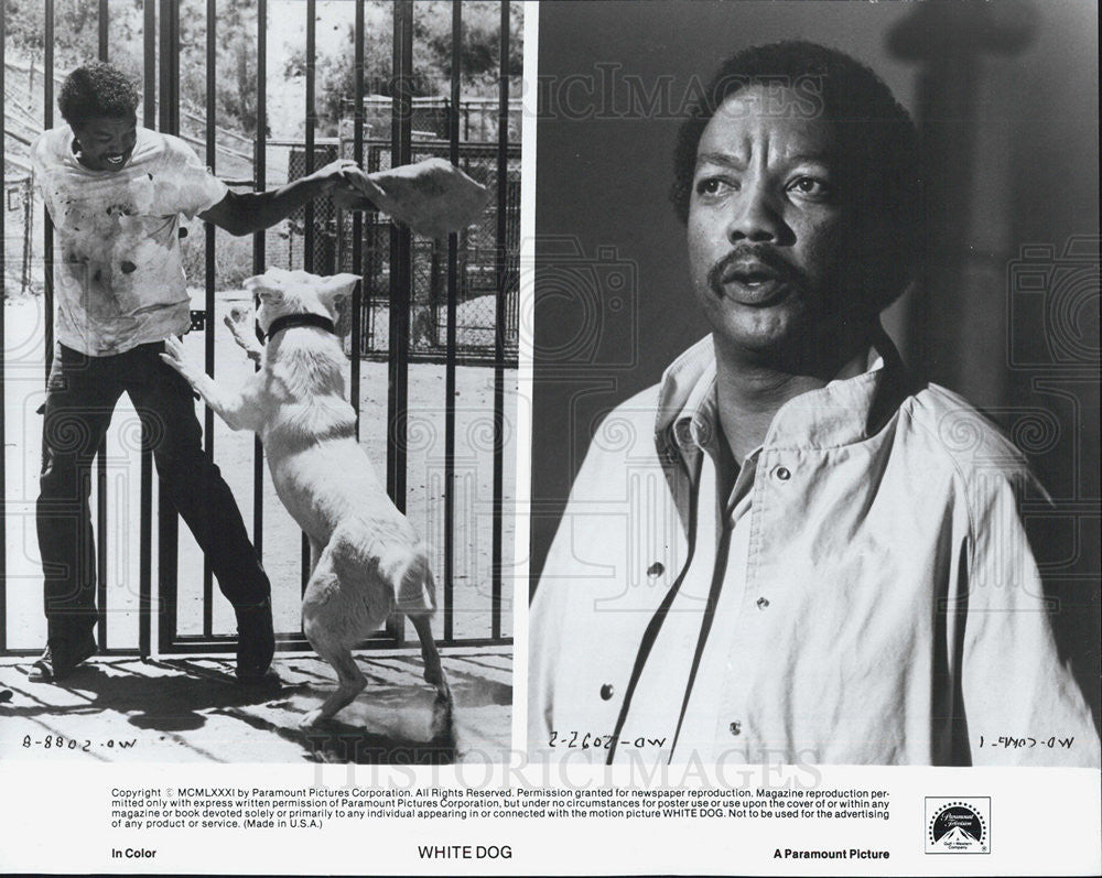 1981 Press Photo White Dog Paramount Movie - Historic Images