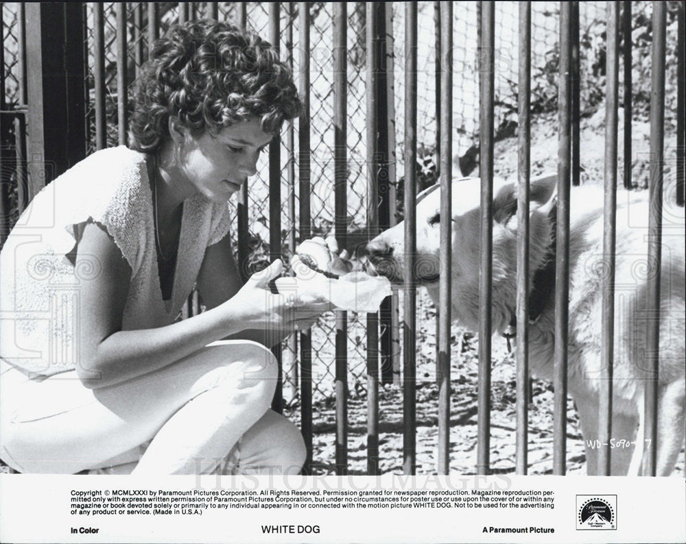 1981 Press Photo White Dog Paramount Movie - Historic Images