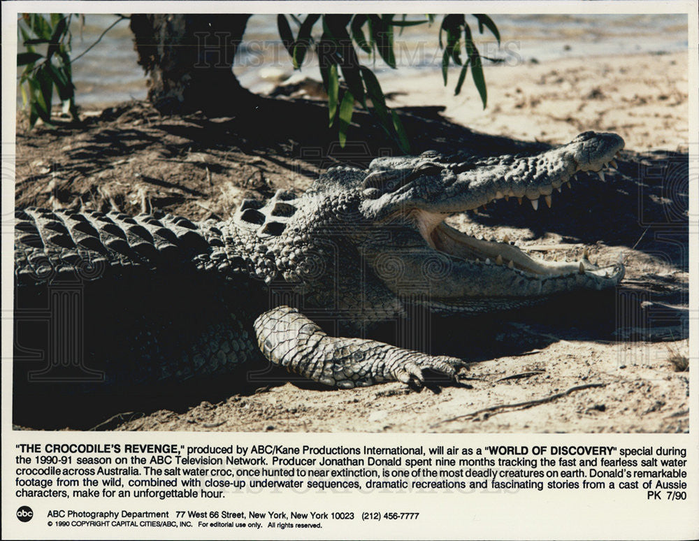 1990 Press Photo The Crocodile&#39;s Revenge - Historic Images