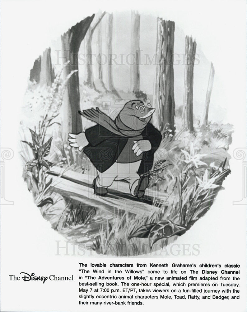 Press Photo Disney Channel Cartoon Animated Movie The Adventures Of Mole - Historic Images