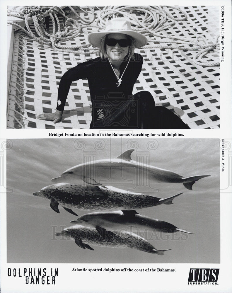 1996 Press Photo Dolphins in Danger Bridge Fonda - Historic Images