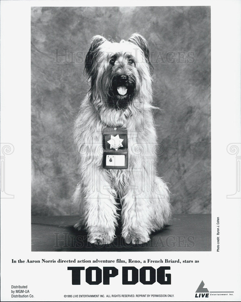 1995 Press Photo Reno, the dog, in &quot;Top Gun&quot; - Historic Images