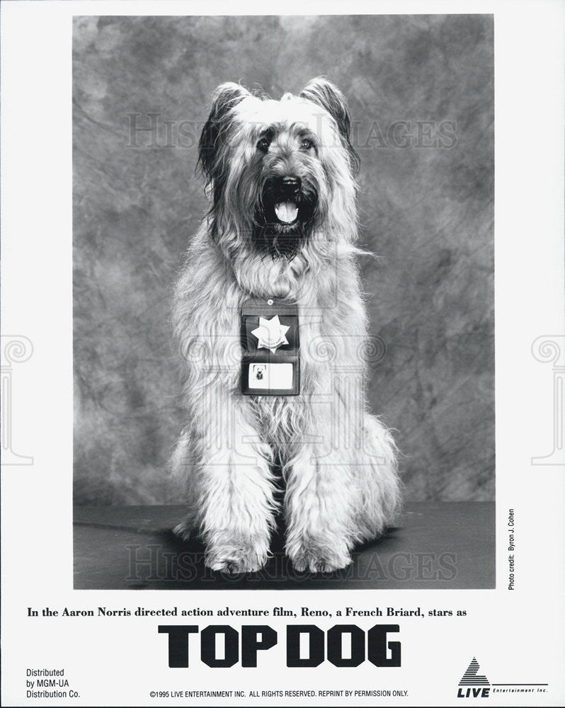 1995 Press Photo Reno, the dog, in "Top Gun" - Historic Images