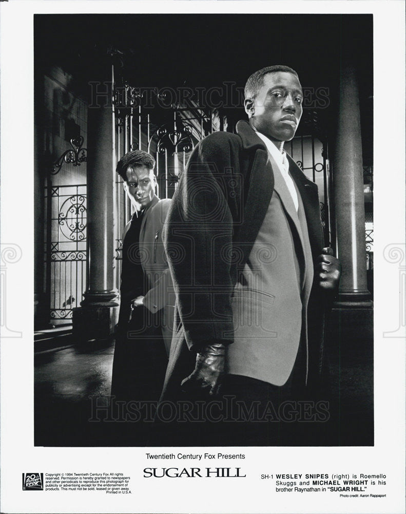 1994 Press Photo Wesley Snipes and Michael Wright in Sugar HIll - Historic Images