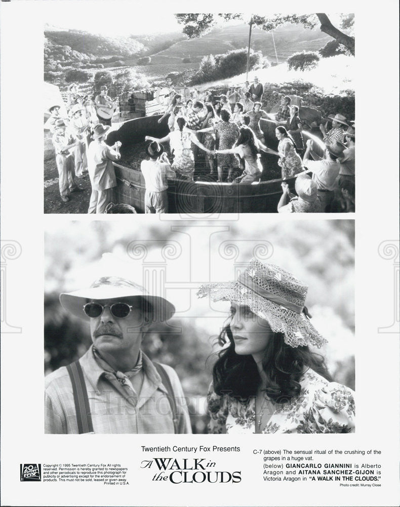 1995 Press Photo Giancarlo Giannini &amp; Aitana Sanchez-Gijon&quot;A Walk in the CLouds&quot; - Historic Images