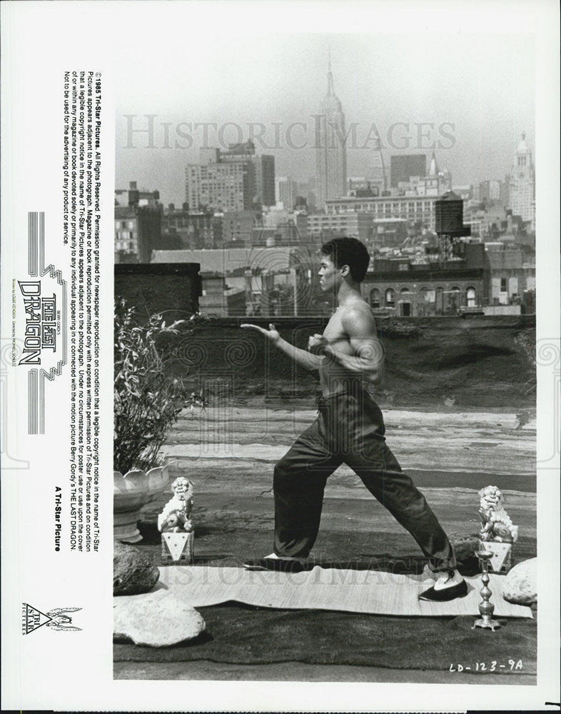 1985 Press Photo Actor Taimak Starring As Leroy Green In &quot;The Last Dragon&quot; - Historic Images