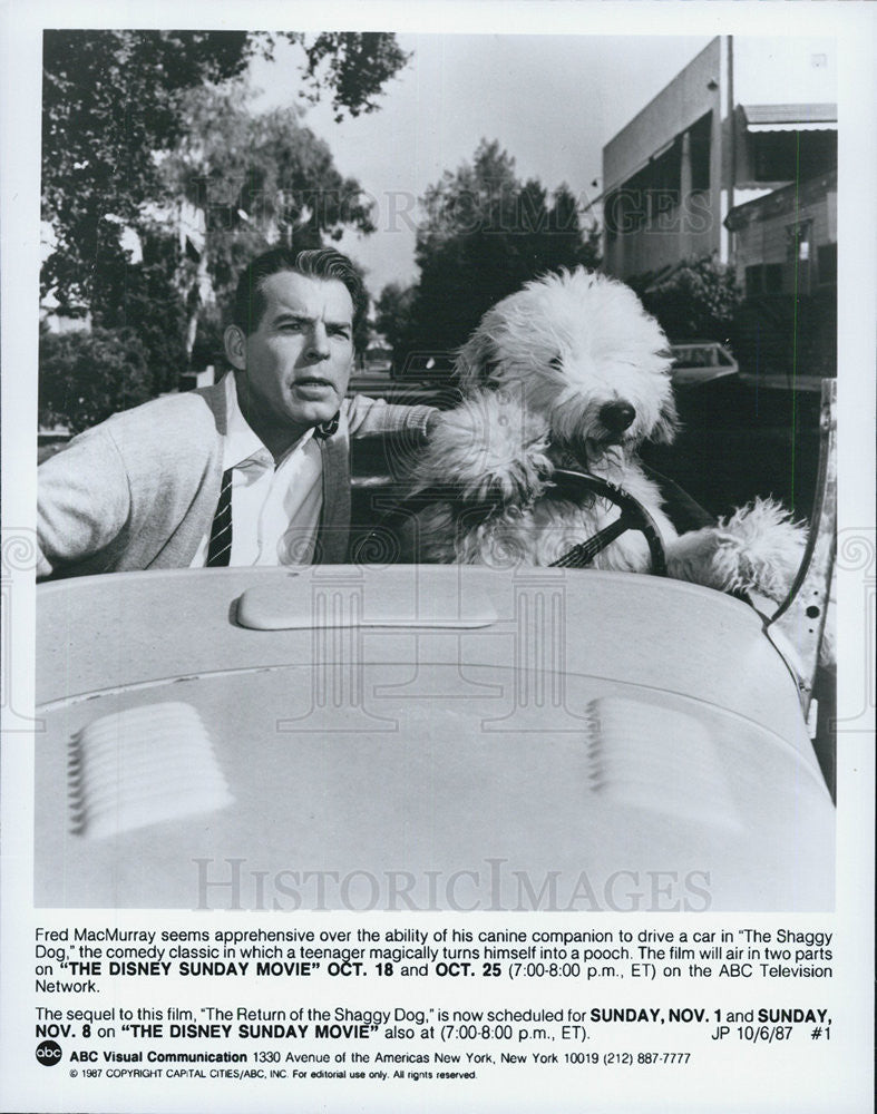 1987 Press Photo Fred MacMurray in &quot;The Shaggy Dog&quot; - Historic Images