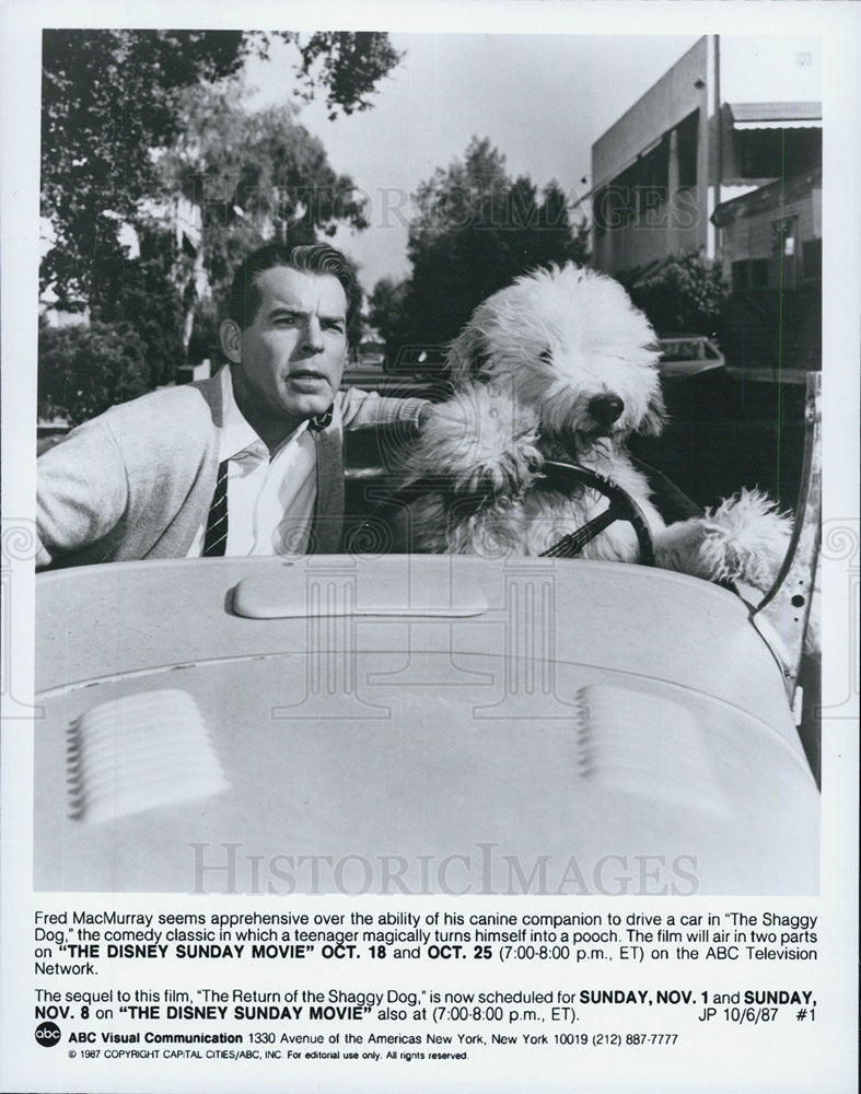 1987 Press Photo Fred MacMurray in "The Shaggy Dog" - Historic Images