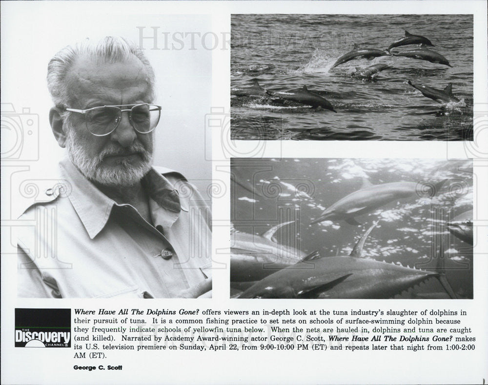 Press Photo &quot;Where Have All the Dolphins Gone?&quot; - Historic Images