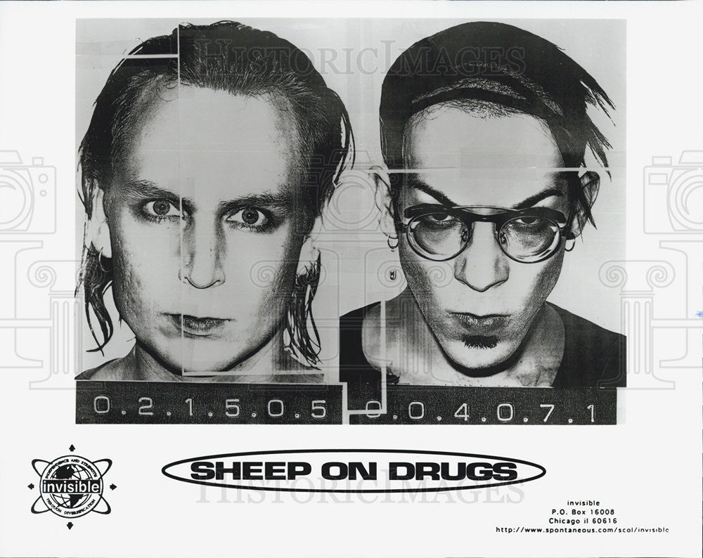 Press Photo Musician entertainer Sheep On Drugs - Historic Images