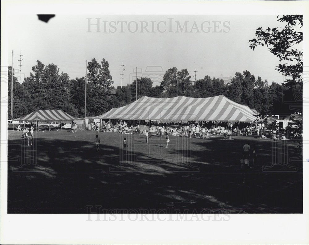 Press Photo Jazz lovers Frog Island Field Ypsilanti Jazz Festival - Historic Images